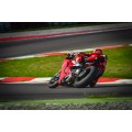 ZARD Slip-on system for Ducati Panigale V4 / S / Speciale / R